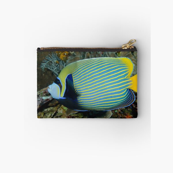Item preview, Emperor Angelfish - Pomacanthus imperator designed and sold by Andrew Trevor-Jones.
