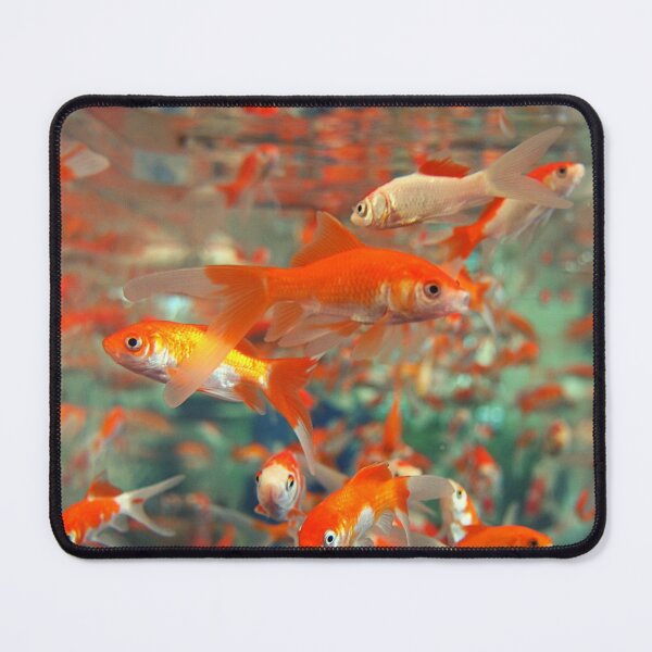 Item preview, goldfish photo with high resolution quality designed and sold by Allyouneed-2.