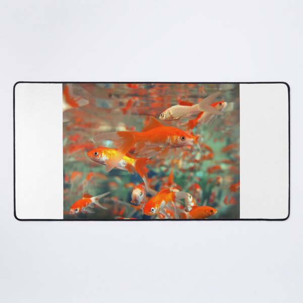 Item preview, goldfish photo with high resolution quality designed and sold by Allyouneed-2.