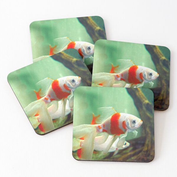 Item preview, goldfish photo with high resolution quality designed and sold by Allyouneed-2.