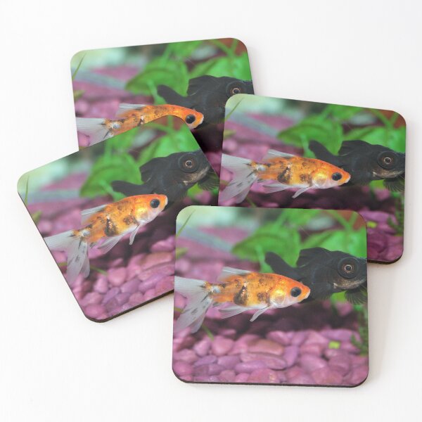 Item preview, goldfish photo with high resolution quality designed and sold by Allyouneed-2.