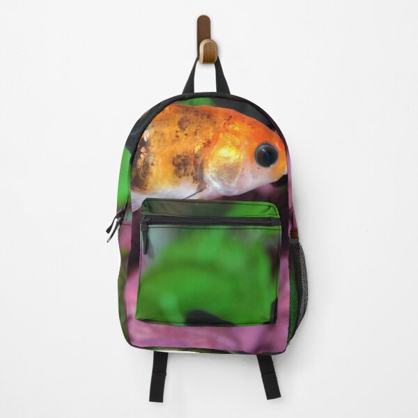 Item preview, goldfish photo with high resolution quality designed and sold by Allyouneed-2.
