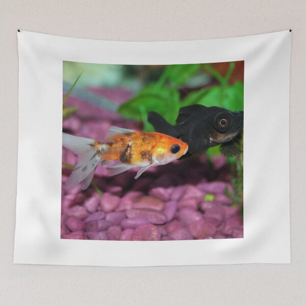 Item preview, goldfish photo with high resolution quality designed and sold by Allyouneed-2.