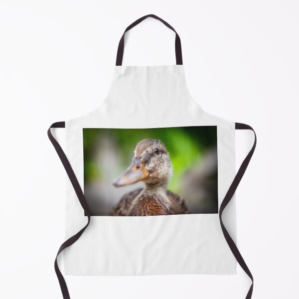Item preview, Baby Mallard Duck designed and sold by Leslie Banks.