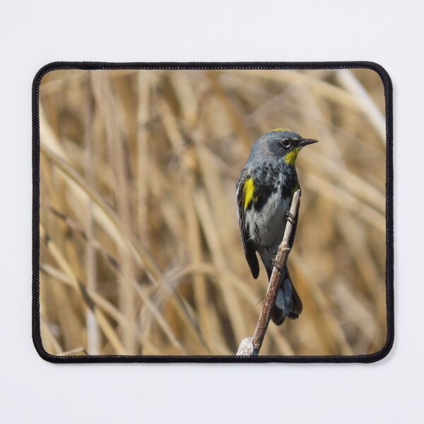 Item preview, Yellow-rumped Warbler  designed and sold by DigitalGen.