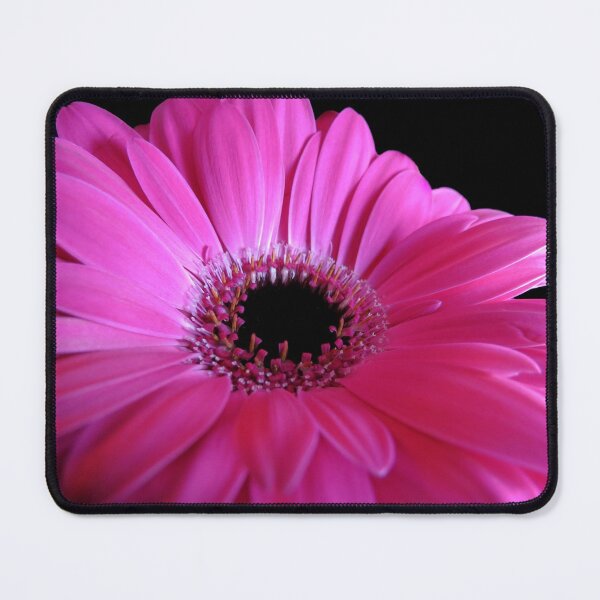 Item preview, Pink Gerber  designed and sold by DigitalGen.