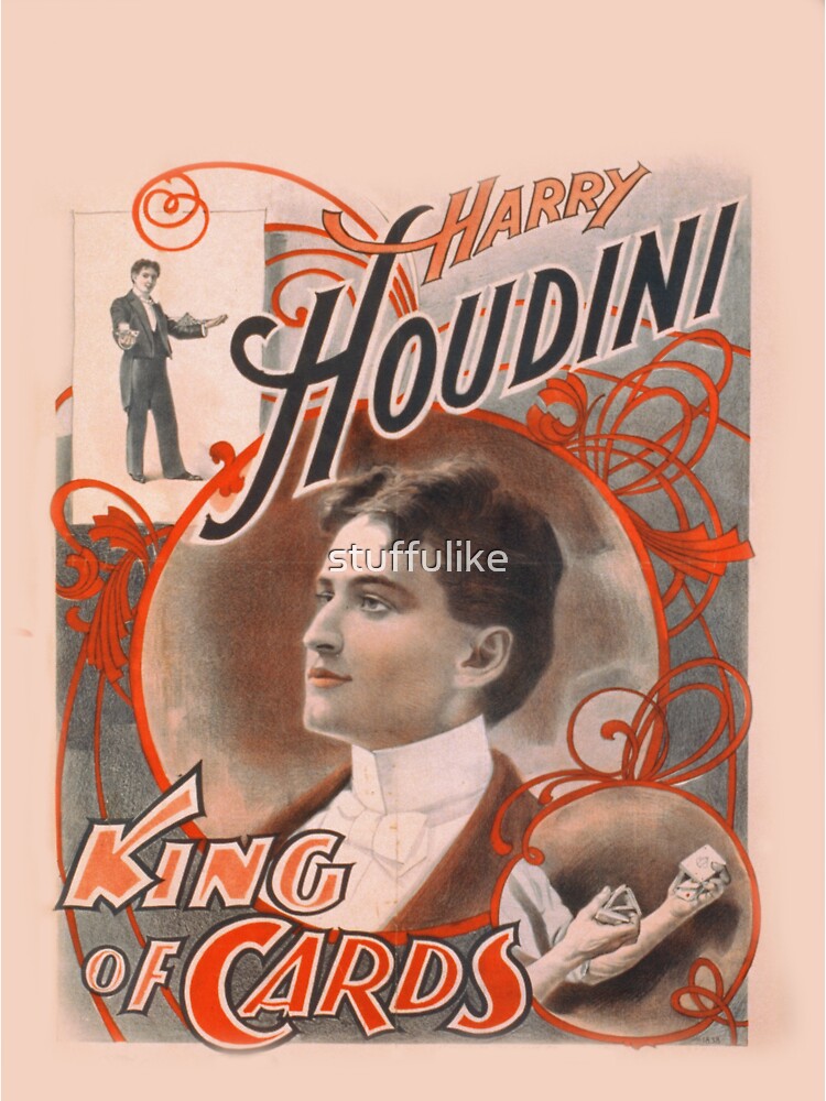 Harry Houdini E L'arte Della Fuga Impossibile - Foto 11
