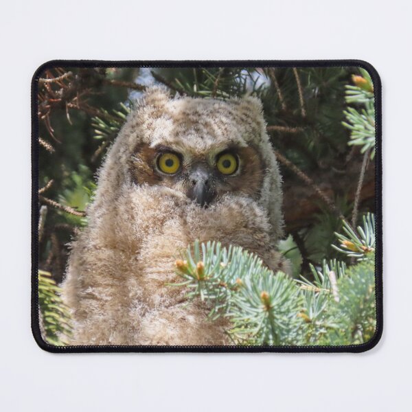 Item preview, Great-horned Owlet designed and sold by DigitalGen.