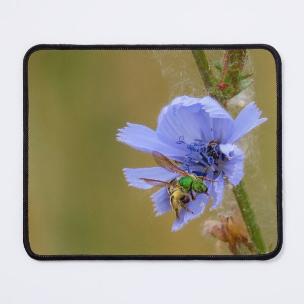 Item preview, Sweet Bee designed and sold by DigitalGen.