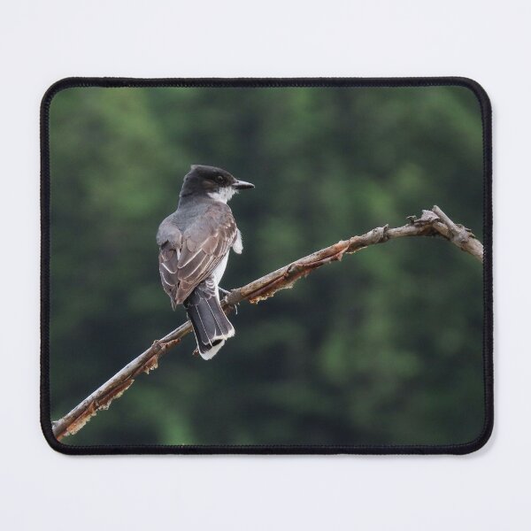 Item preview, Eastern Kingbird  designed and sold by DigitalGen.