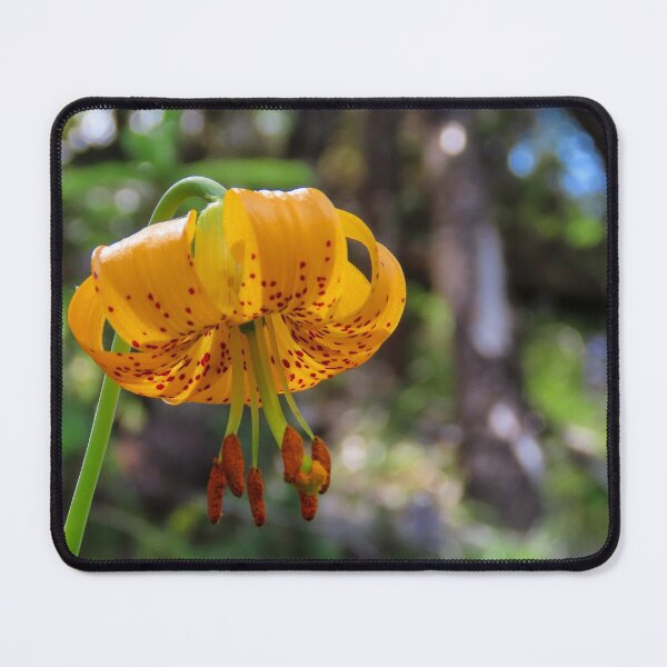 Item preview, Tiger Lily designed and sold by DigitalGen.
