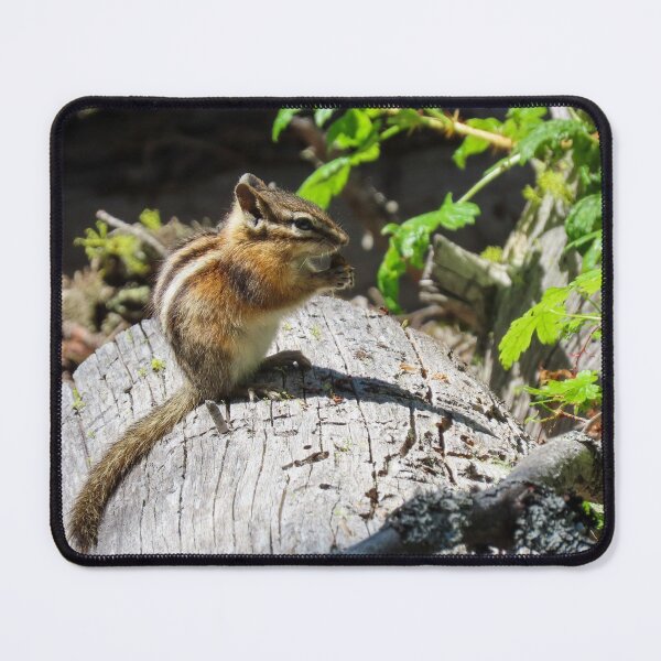 Item preview, Chipmunk snacktime designed and sold by DigitalGen.