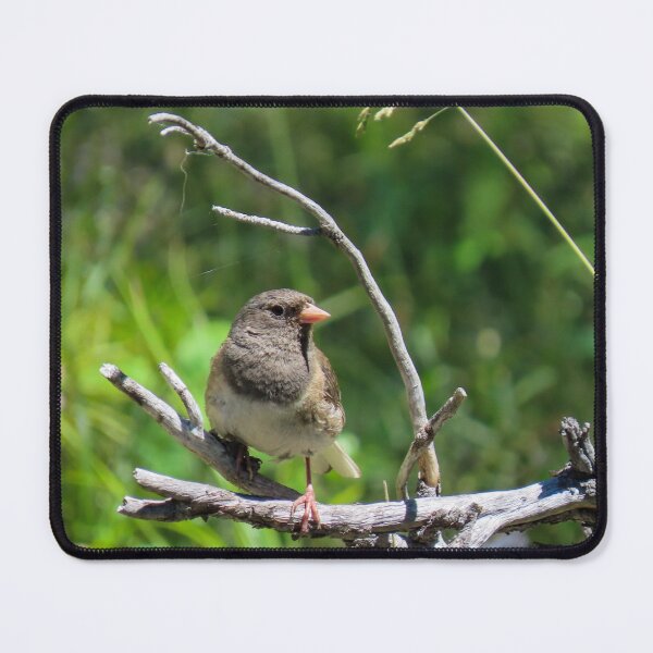 Item preview, Dark-eyed Junco designed and sold by DigitalGen.