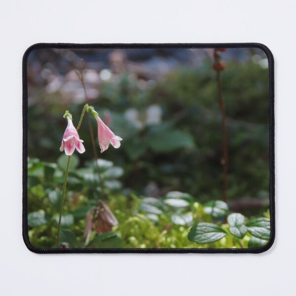 Item preview, Twinflower en el bosque designed and sold by DigitalGen.