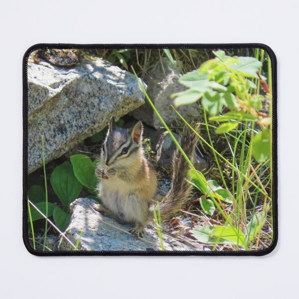 Item preview, Chipmunk Snacktime #2 designed and sold by DigitalGen.