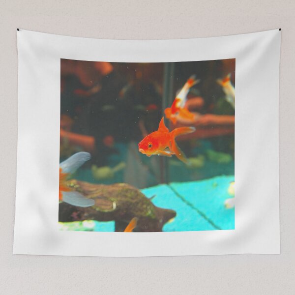 Item preview, goldfish photo with high resolution quality designed and sold by Allyouneed-2.
