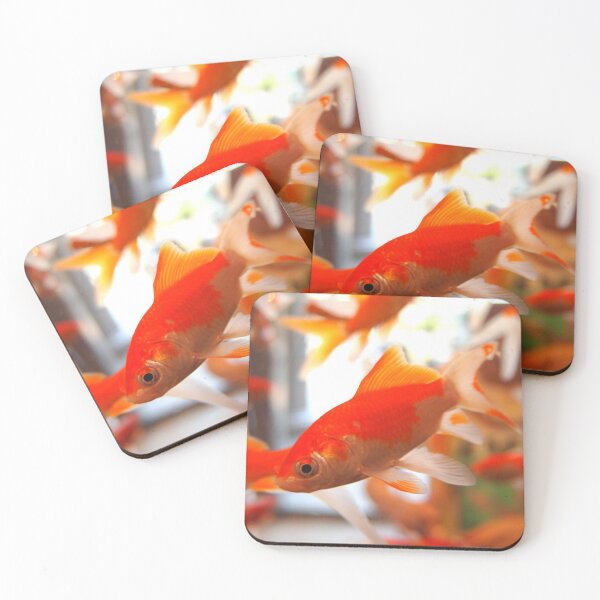 Item preview, goldfish photo with high resolution quality designed and sold by Allyouneed-2.