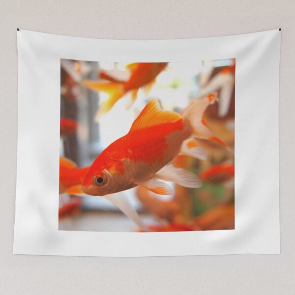 Item preview, goldfish photo with high resolution quality designed and sold by Allyouneed-2.