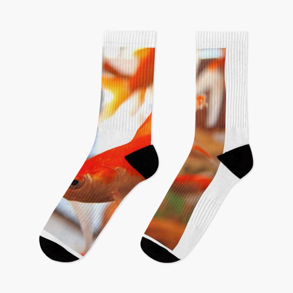 Item preview, goldfish photo with high resolution quality designed and sold by Allyouneed-2.