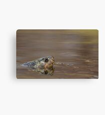 Surfacing Canvas Print