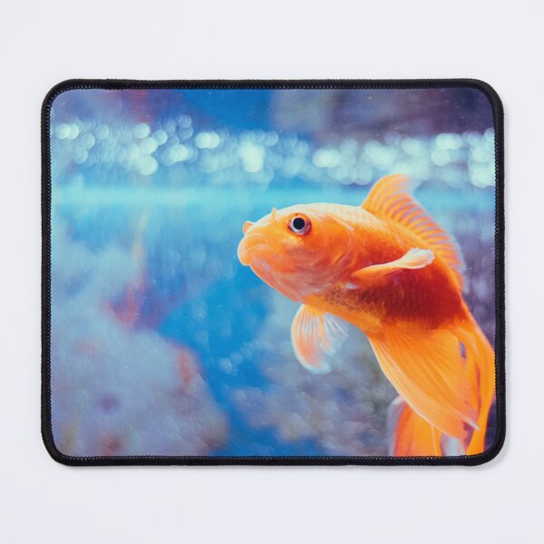 Item preview, goldfish photo with high resolution quality designed and sold by Allyouneed-2.
