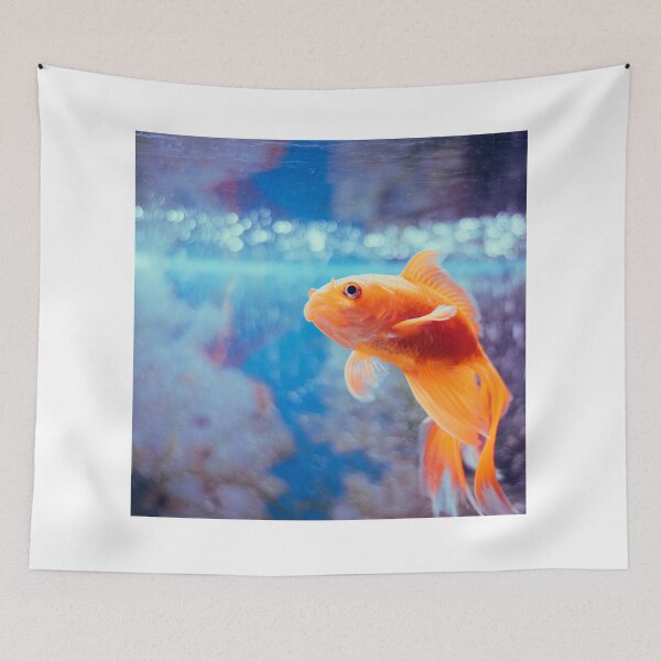 Item preview, goldfish photo with high resolution quality designed and sold by Allyouneed-2.