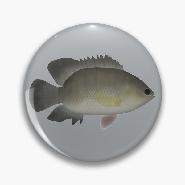 Item preview, Malayan leaffish designed and sold by fishfolkart.