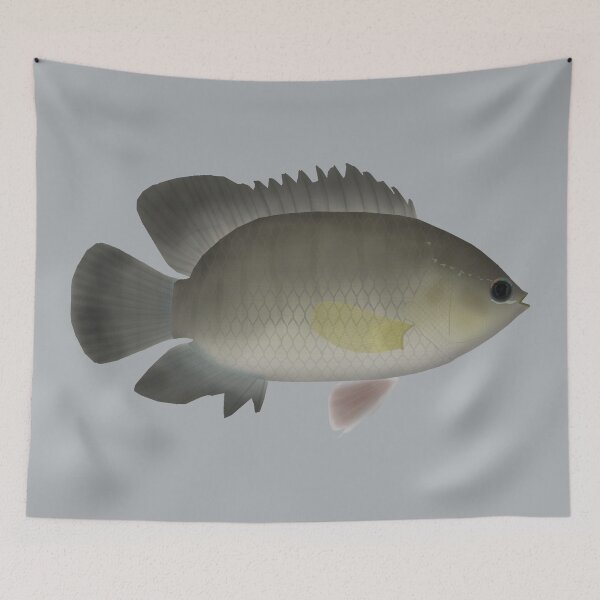 Item preview, Malayan leaffish designed and sold by fishfolkart.