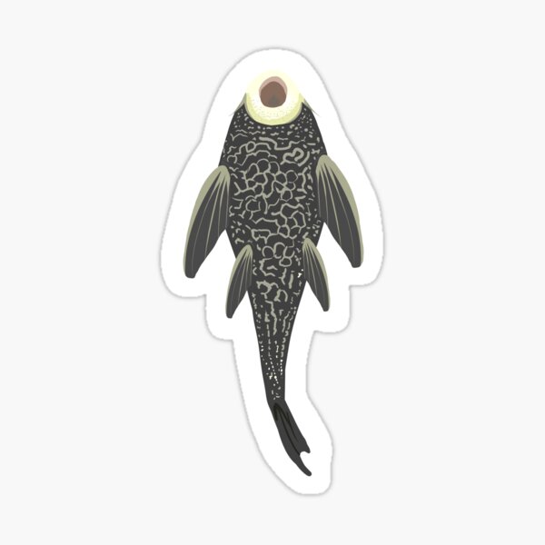 Vista previa del artículo con la obra «Pleco común», diseñado y vendido por TARdesigns.