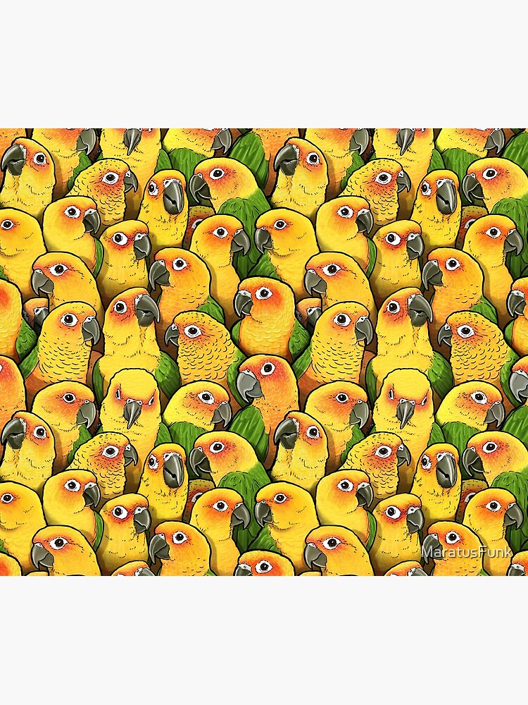Jenday Conures by MaratusFunk