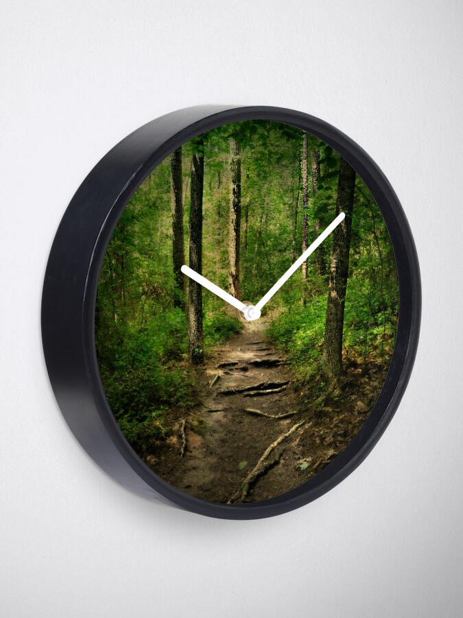 Alternate view of The Hidden Trails of the Old Forests Clock