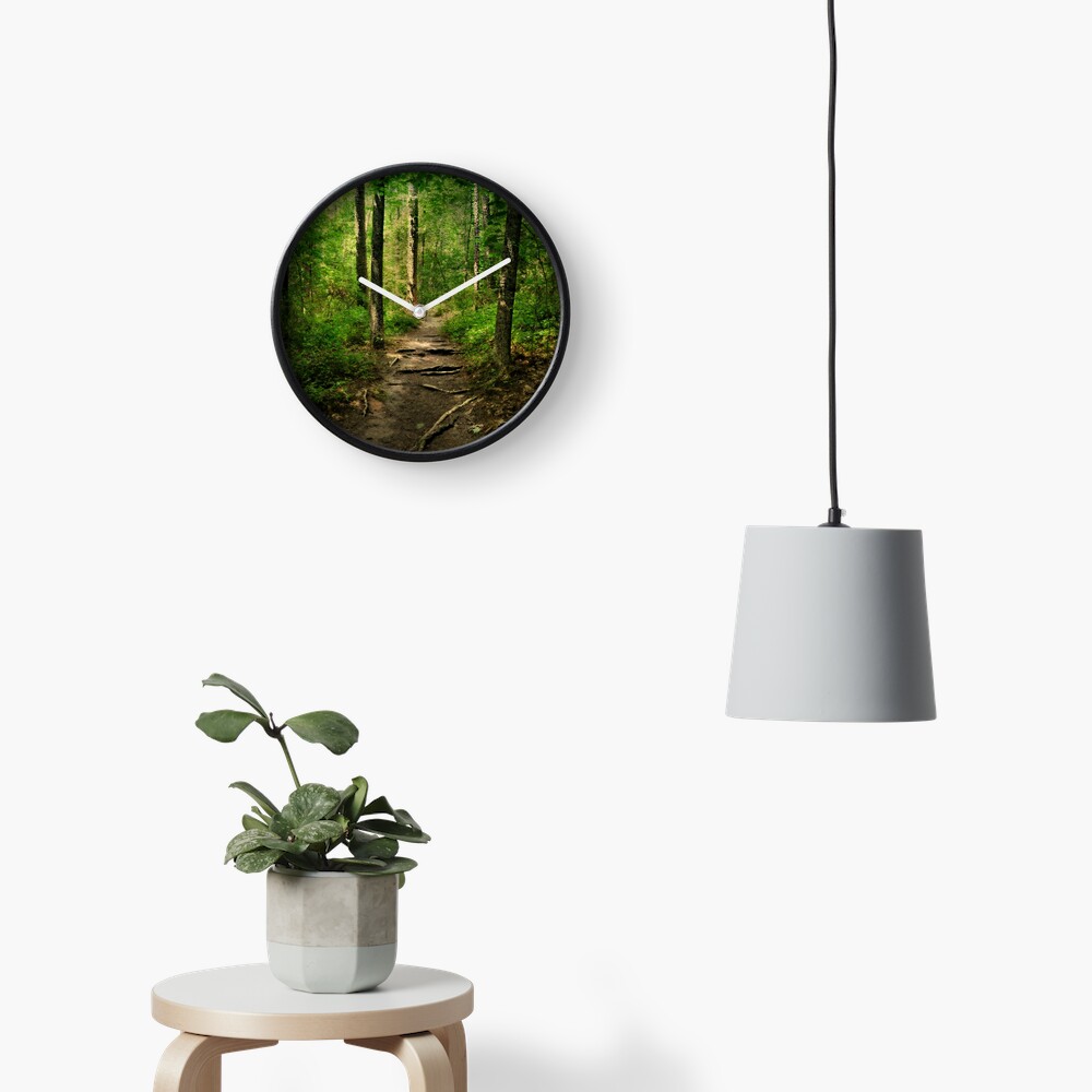 The Hidden Trails of the Old Forests Clock