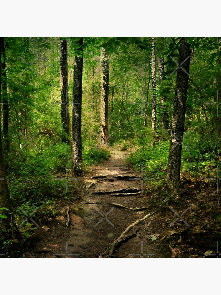 The Hidden Trails of the Old Forests by Happyhead64
