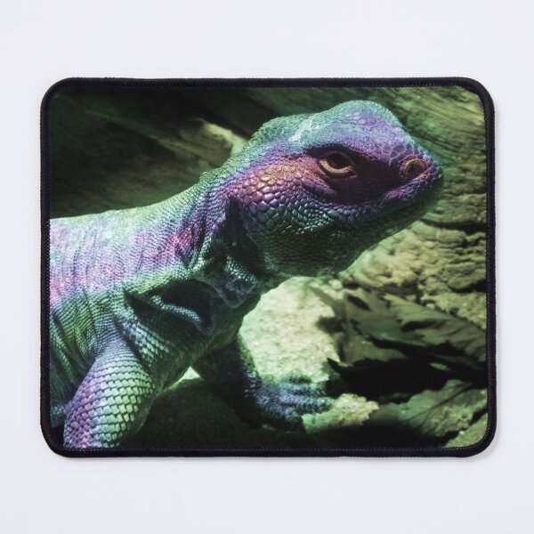 Item preview, Rainbow Lizard designed and sold by MMMSdesigns.