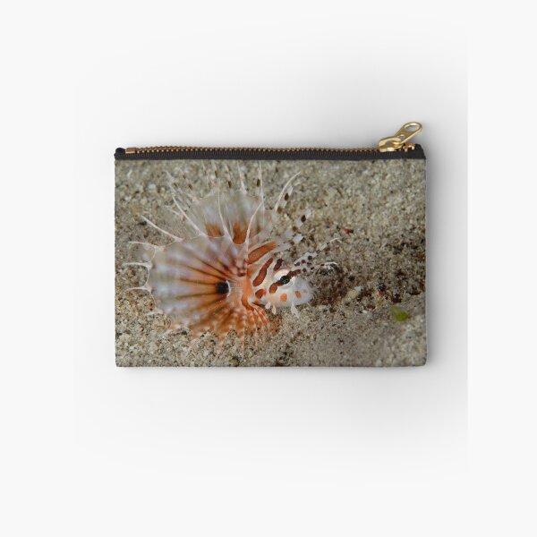 Item preview, Zebra Lionfish - Dendrochirus zebra designed and sold by Andrew Trevor-Jones.