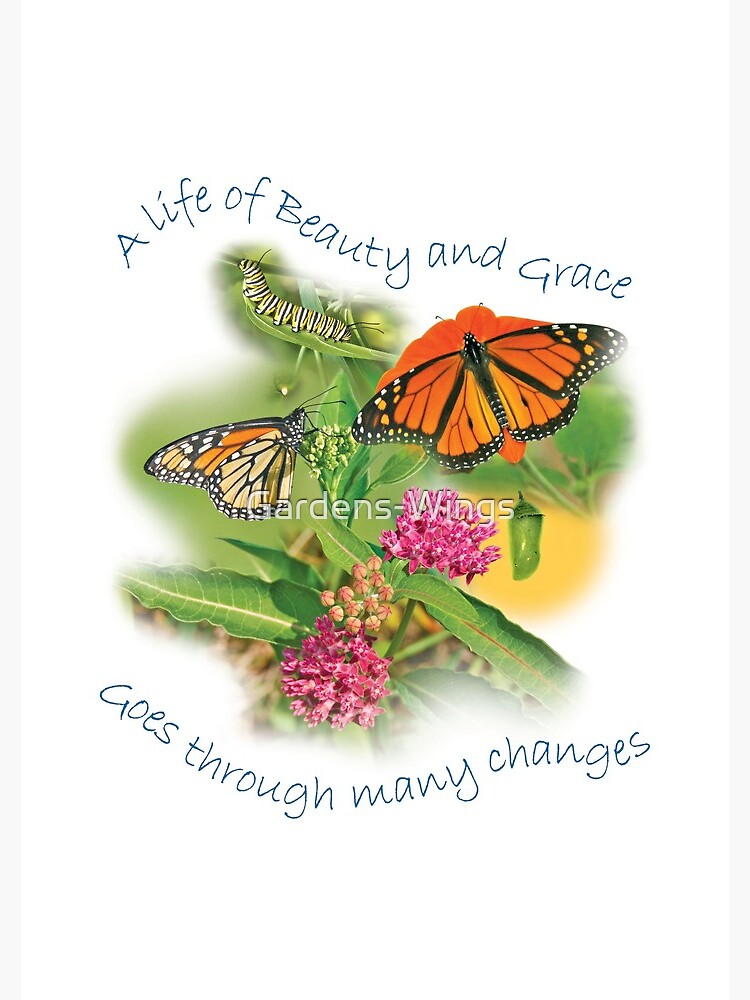 A Life of Beauty and Grace goes through many changes by Gardens-Wings