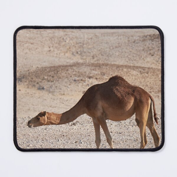 Item preview, Anybody there designed and sold by Kiran-Fine-Art.