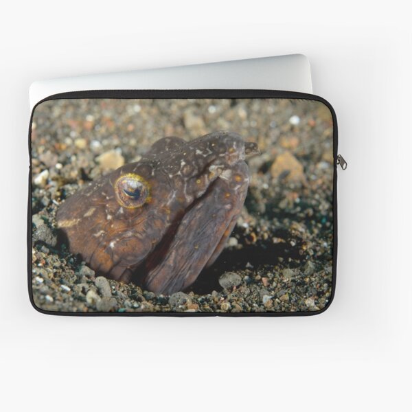 Napolean Snake Eel - Ophichthus bonaparti Laptop Sleeve
