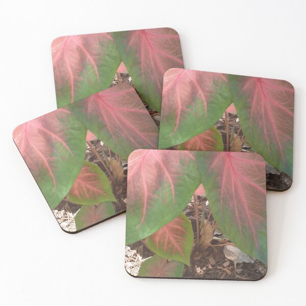 Item preview, Angel Wings Caladium Plant designed and sold by Bennymp.