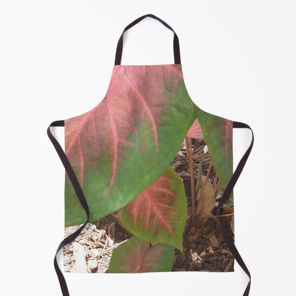Item preview, Angel Wings Caladium Plant designed and sold by Bennymp.