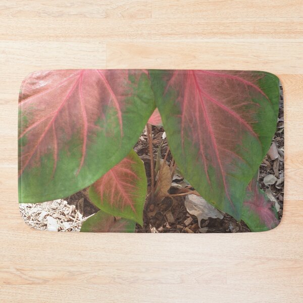 Item preview, Angel Wings Caladium Plant designed and sold by Bennymp.