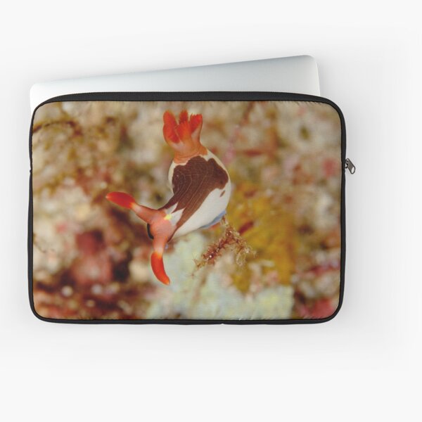 Nudibranch - Nembrotha chamberlaini Laptop Sleeve