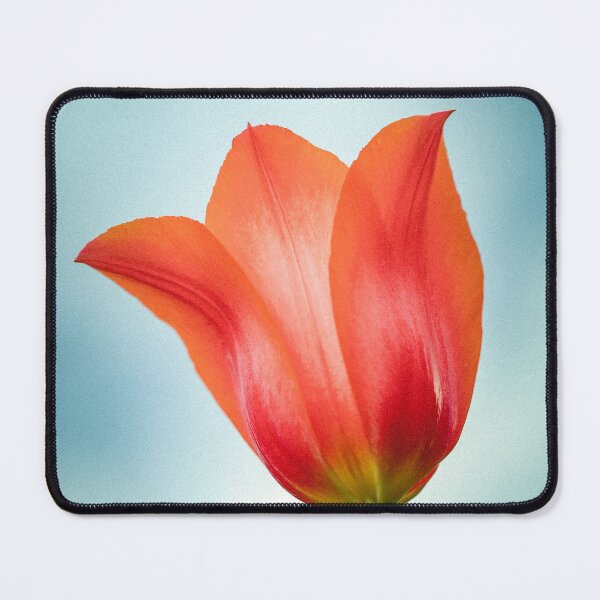 Item preview, Red Tulip designed and sold by Leslie Banks.