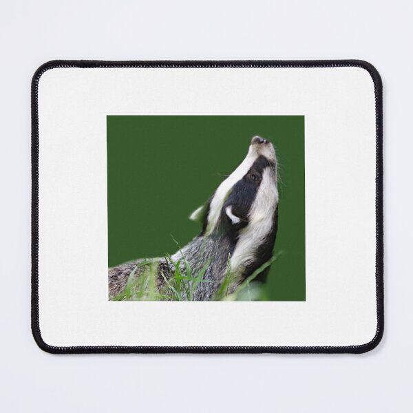 Item preview, An Adorable Badger designed and sold by Karen Thomson.
