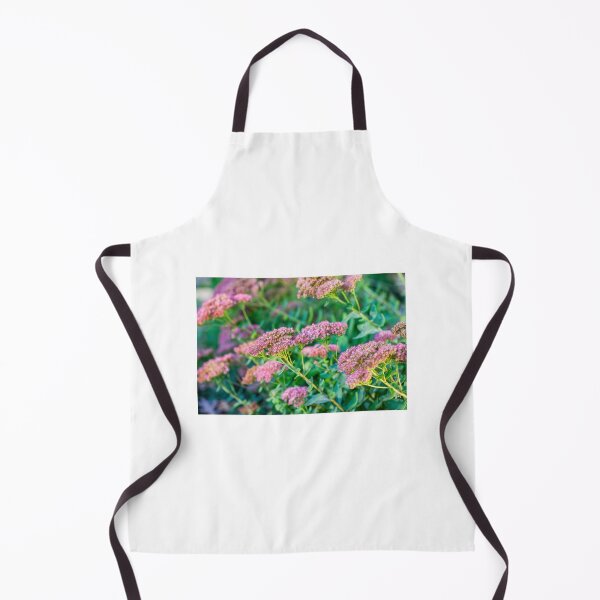 Item preview, Sedum designed and sold by Leslie Banks.