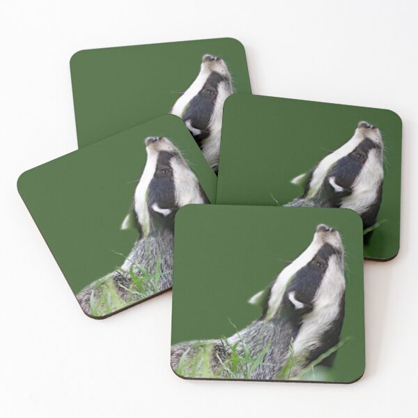 Item preview, An Adorable Badger designed and sold by Karen Thomson.