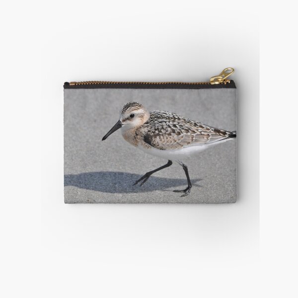 Item preview, Black Bellied Plover designed and sold by Kathy Baccari.