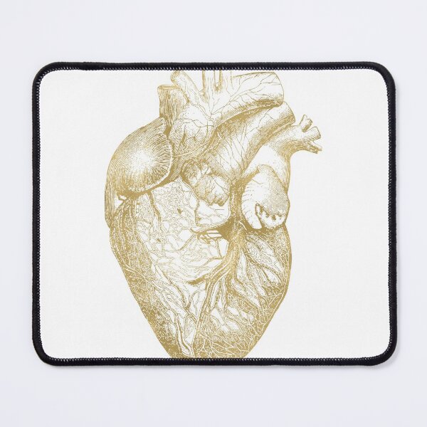 Item preview, Heart Anatomical - Gold designed and sold by Amy Brinkman.