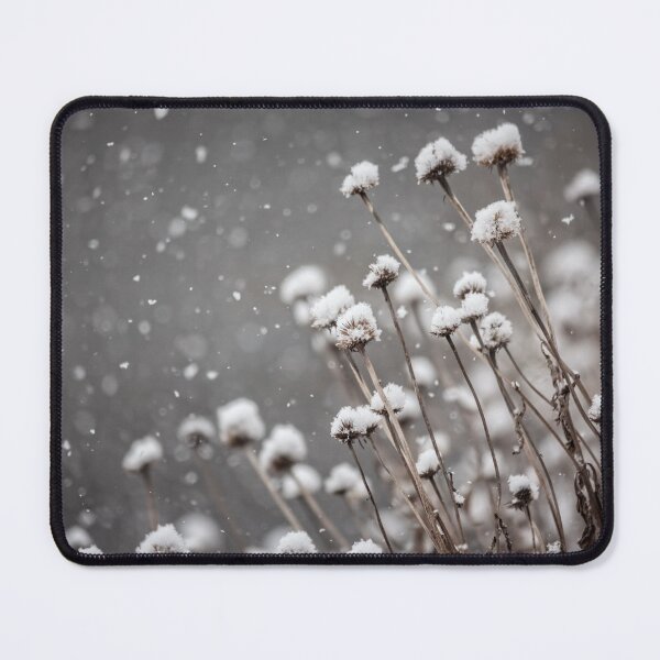 Item preview, Coneflowers in the Snow designed and sold by Leslie Banks.
