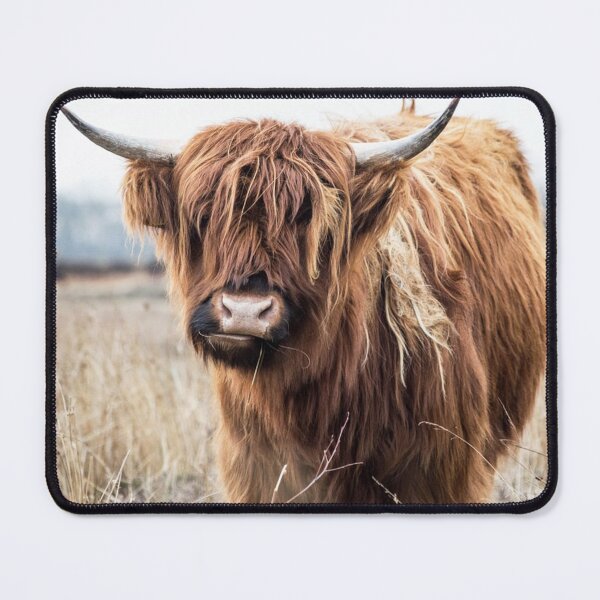 Item preview, Retrato de vaca de las tierras altas designed and sold by Amy Brinkman.